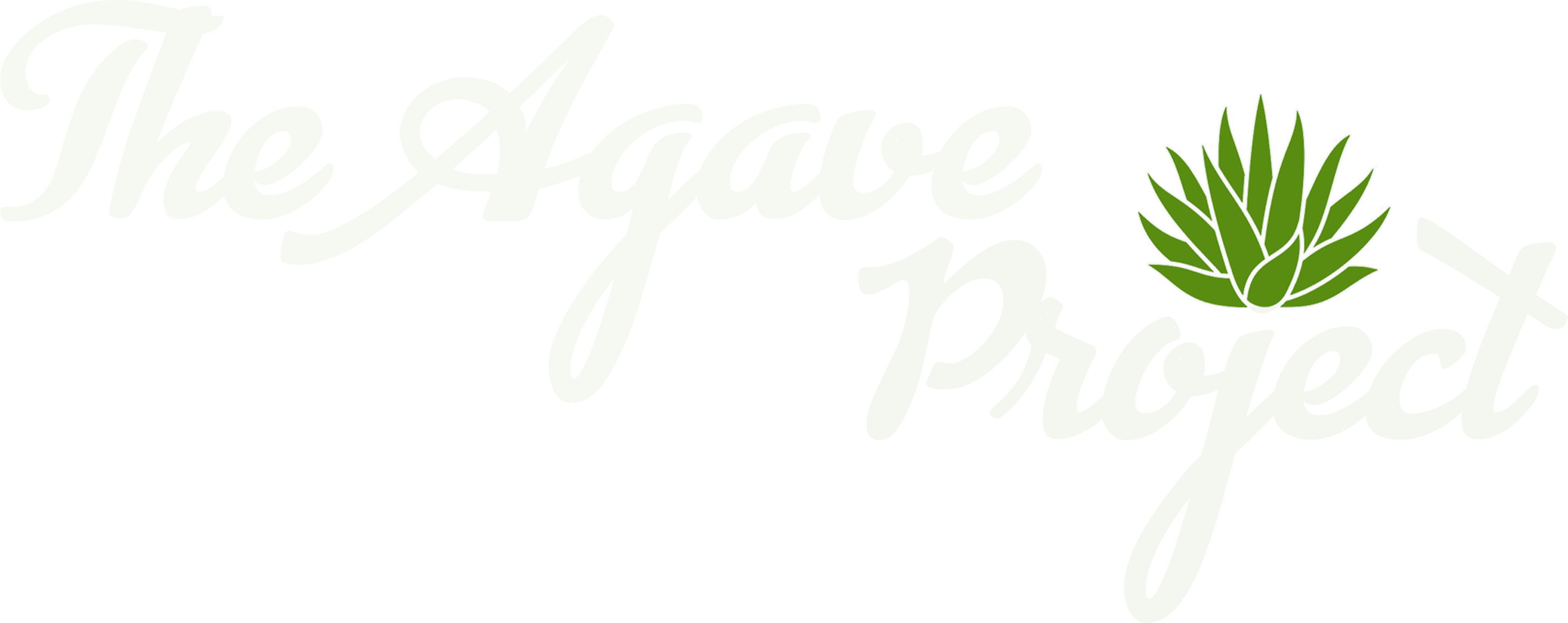 AGVITA LLC: The Agave Project